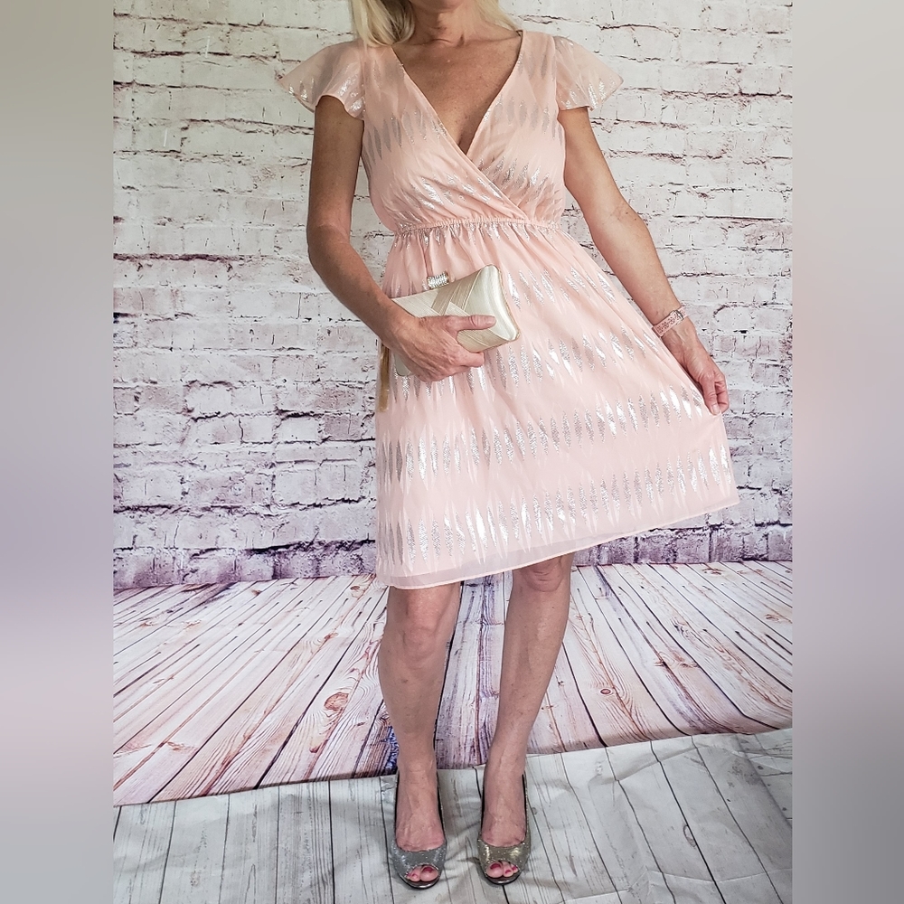 Antonio Melani size 4 Peach Chiffon dress with Metallic Embellishments